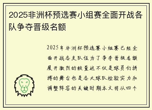 2025非洲杯预选赛小组赛全面开战各队争夺晋级名额