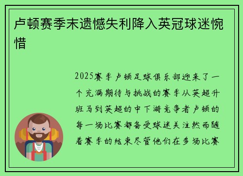 卢顿赛季末遗憾失利降入英冠球迷惋惜